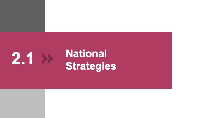 ECOSYSTEM_ASSESSMENT_REPORT & NATIONAL_CYBERSECURITY_ REVIEW_ppt_presentations